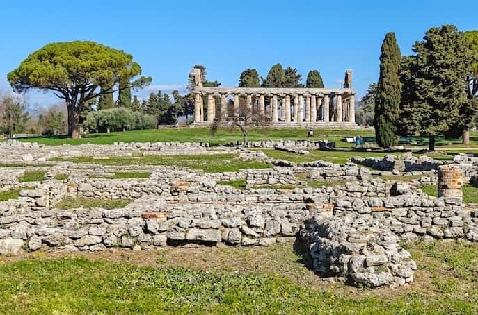 2-hour guided tour in Paestum4