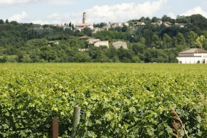 Amarone wine E-bike tour2