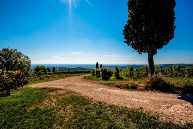 Amarone wine E-bike tour4