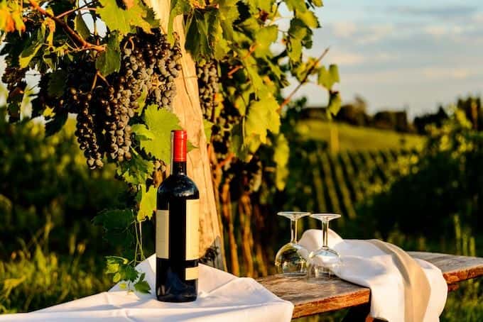 Chianti hills and Radda wine experience1