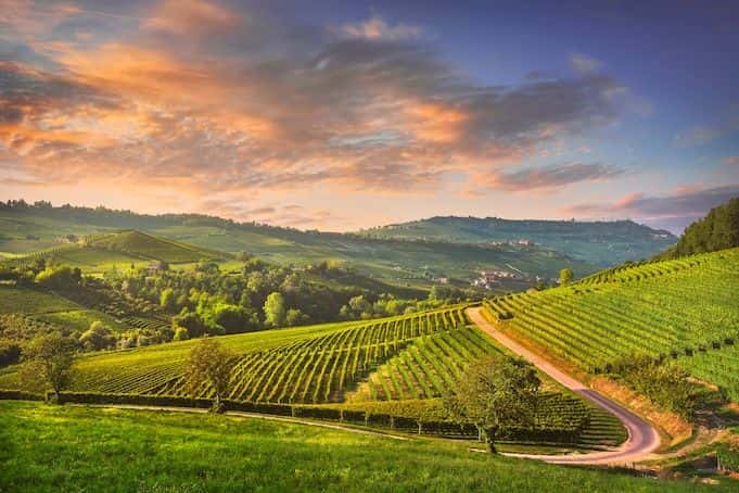 Chianti hills and Radda wine experience2