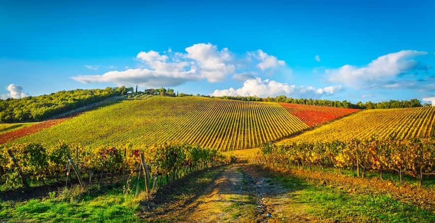 Chianti hills and Radda wine experience3