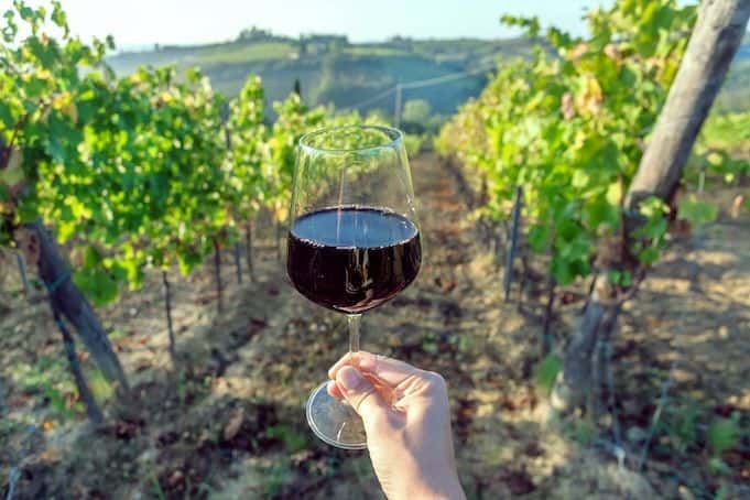 Hike and Chianti wine tour1