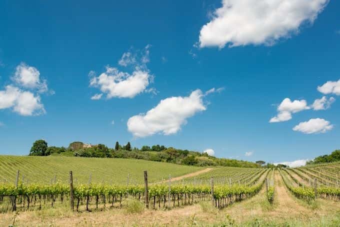 Hike and Chianti wine tour2
