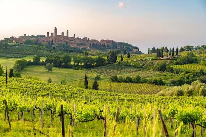 Hike and Chianti wine tour3