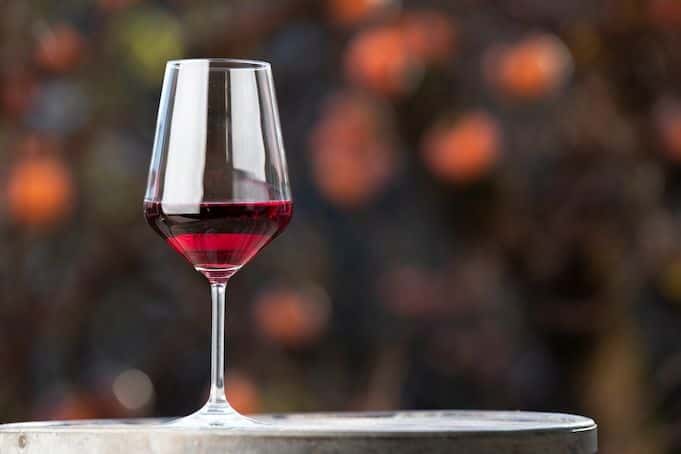Organic Brunello wine tour with lunch in Montalcino3