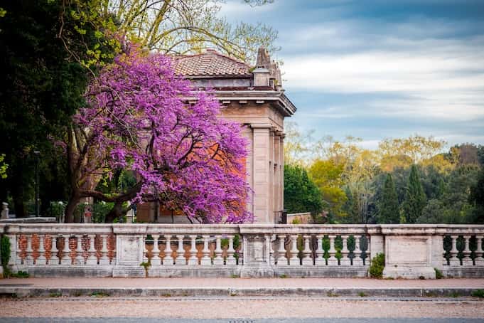 Villa Borghese Gallery and Gardens skip-the-line guided tour1