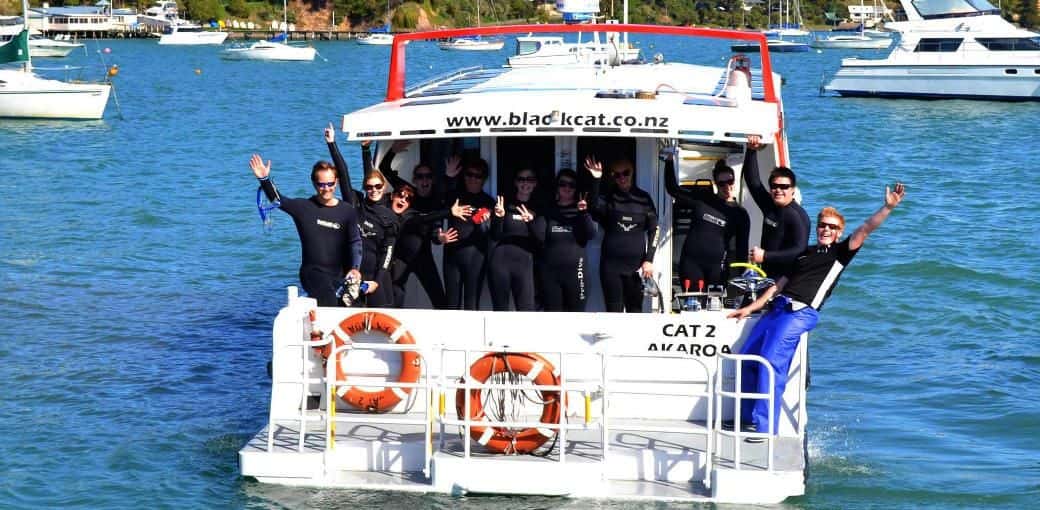 Akaroa Dolphin Swim Experience2