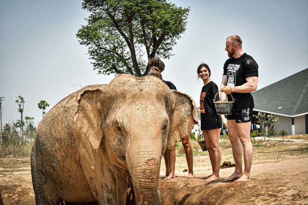 Elephant Jungle Sanctuary (Pattaya) ทริปเที่ยว และเดย์ทริป1
