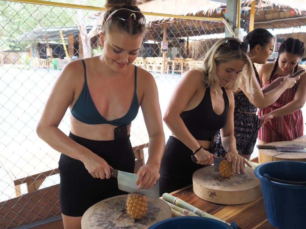 Phuket Elephant Care Trips and Day Trips1