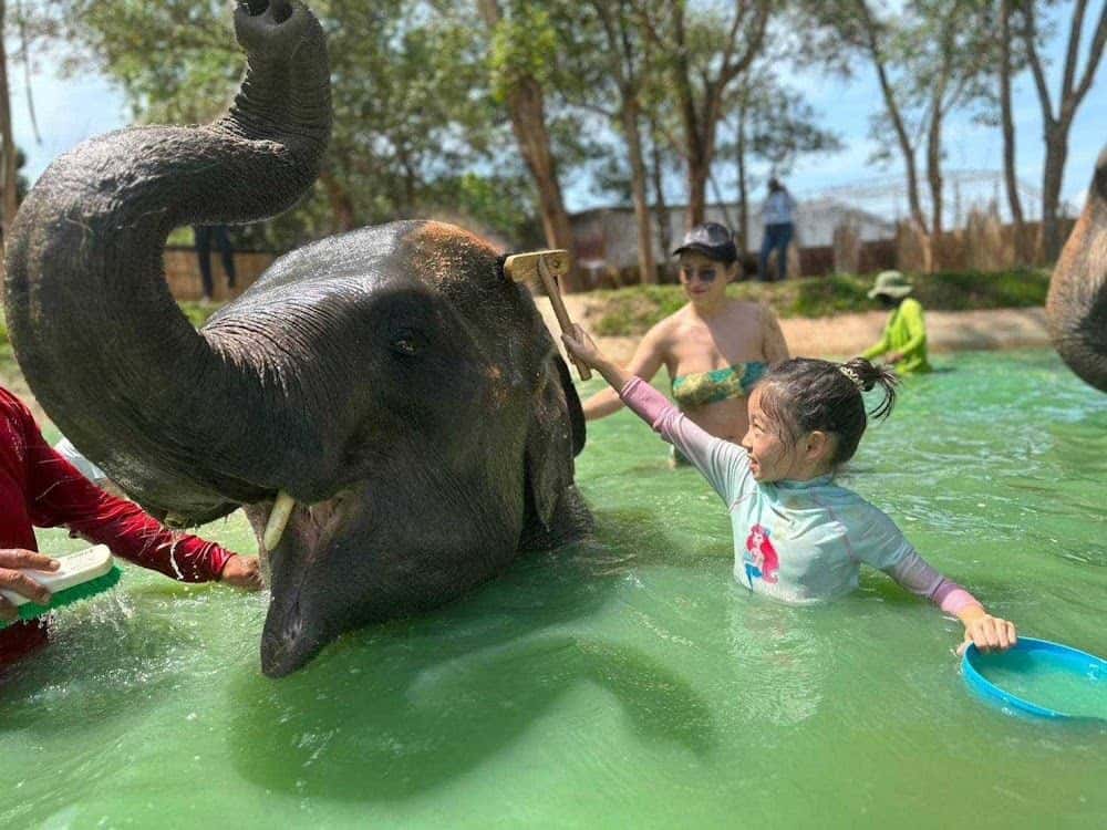 Phuket Elephant Care Trips and Day Trips4