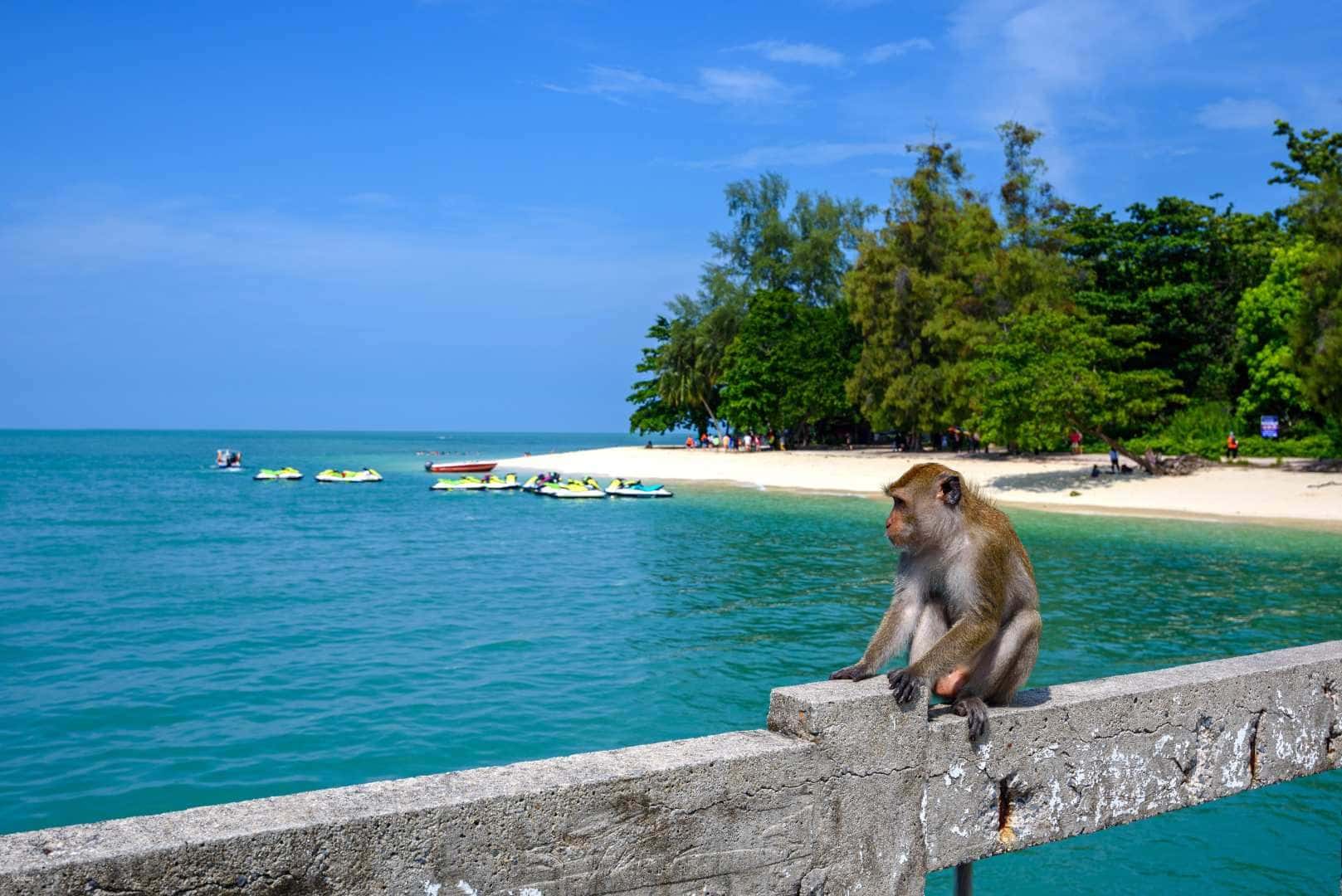 [Limited 20% OFF] 5-in-1 Langkawi Island Hopping Shared Tour with Fun Fishing & BBQ Lunch | Malaysia ทริปเที่ยว และเดย์ทริป3
