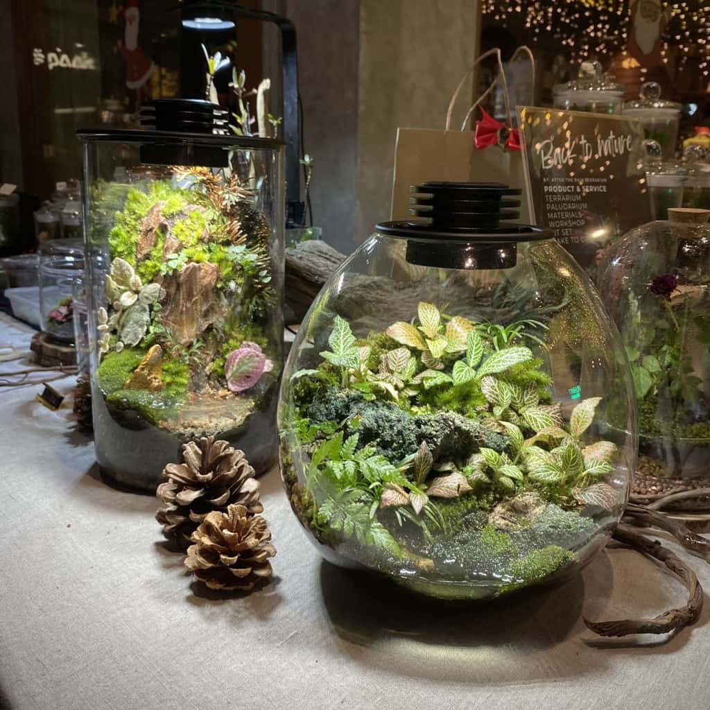 Terrarium Workshop by After The Rain1