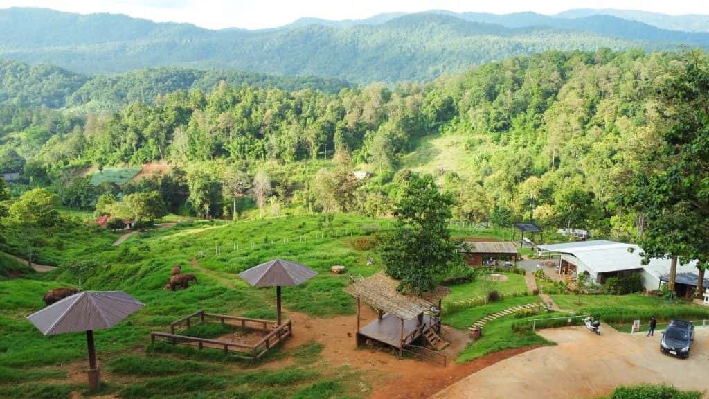 Elephant Café Elfin Farm + Chiangmai Night Safari1