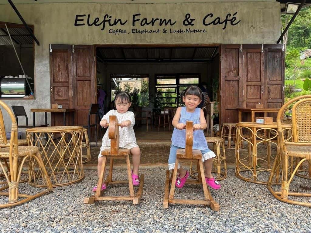 Elephant Café Elfin Farm + Chiangmai Night Safari2