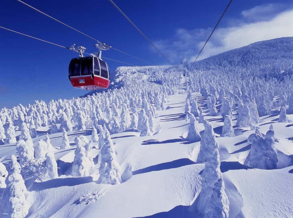 JR EAST PASS(Tohoku area)-Consecutive 5 days (Valid for 90 days)4