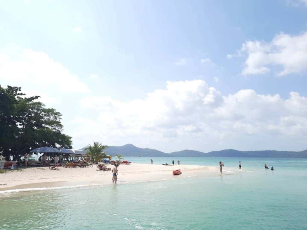 ทัวร์ชมโลมา & ดำน้ำตื้นบนเกาะสมุยเต็มวันโดยเรือสปีดโบ๊ท ทริปเที่ยว และเดย์ทริป4