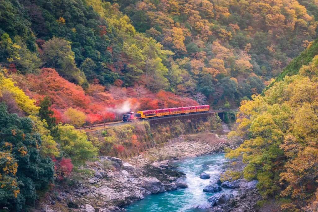 Sagano Romantic Train One-Way Ticket | Section: Saga - Kameoka1