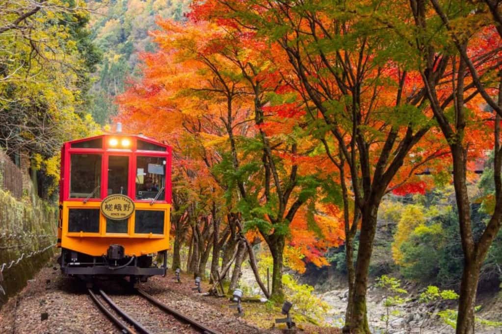 Sagano Romantic Train One-Way Ticket | Section: Saga - Kameoka2