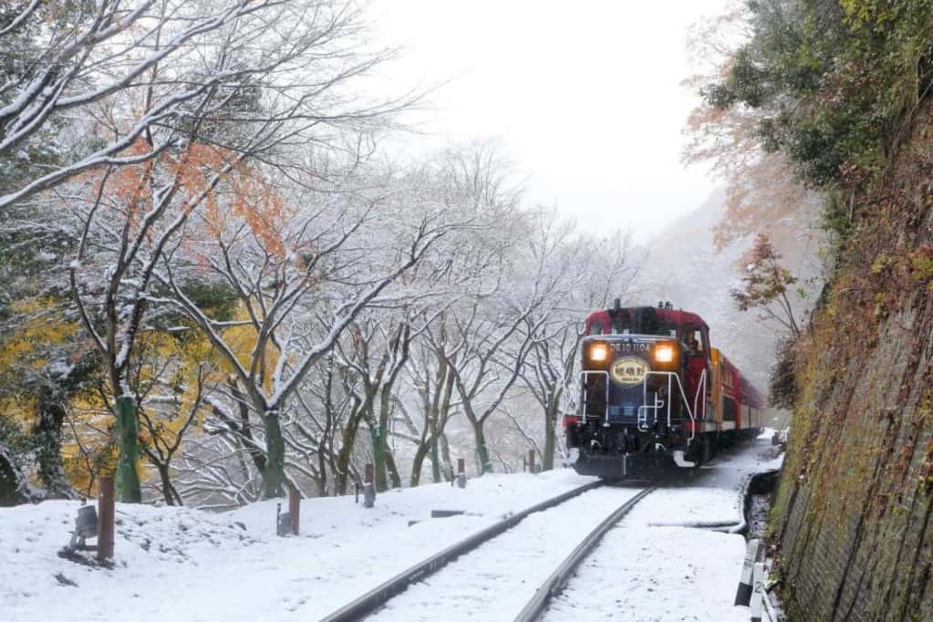 Sagano Romantic Train One-Way Ticket | Section: Saga - Kameoka4