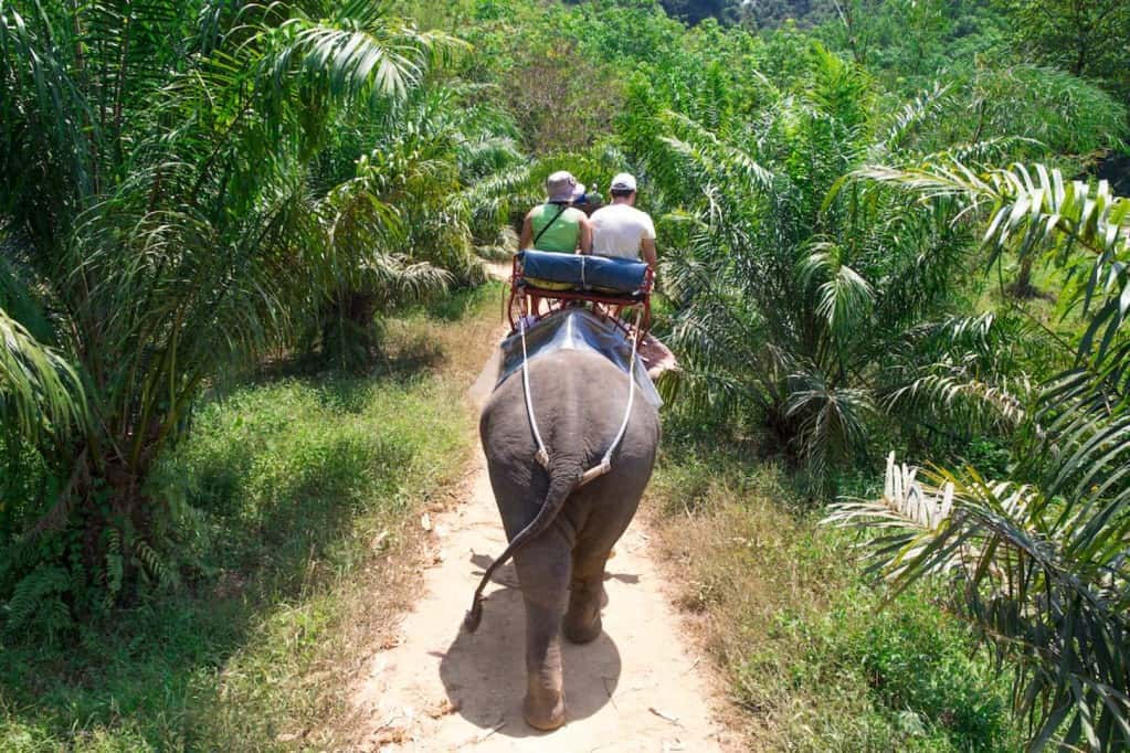การผจญภัยในกระบี่: ล่องแก่ง ขี่รถเอทีวี ขี่ช้าง ถ้ำลิง & น้ำตกร้อน｜ประเทศไทย3