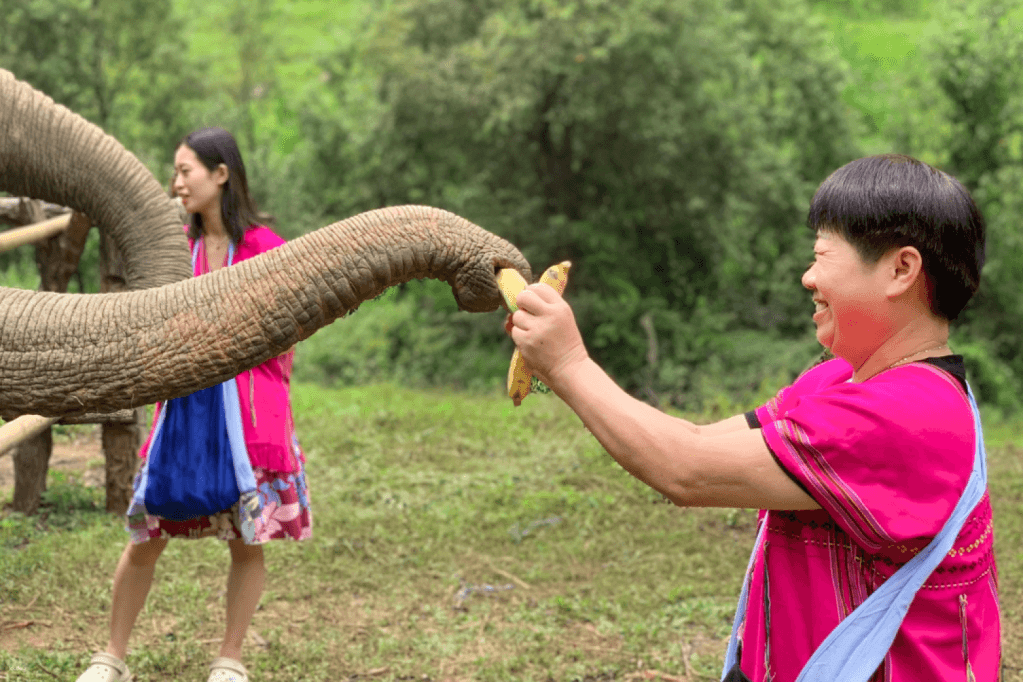 Elephant Observation & Doi Inthanon Hiking | Chiang Mai2