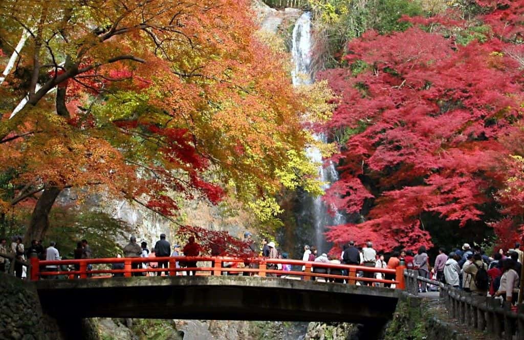 [Digital Ticket] Hankyu 1-Day Pass 2025 (Valid for 90 days)1