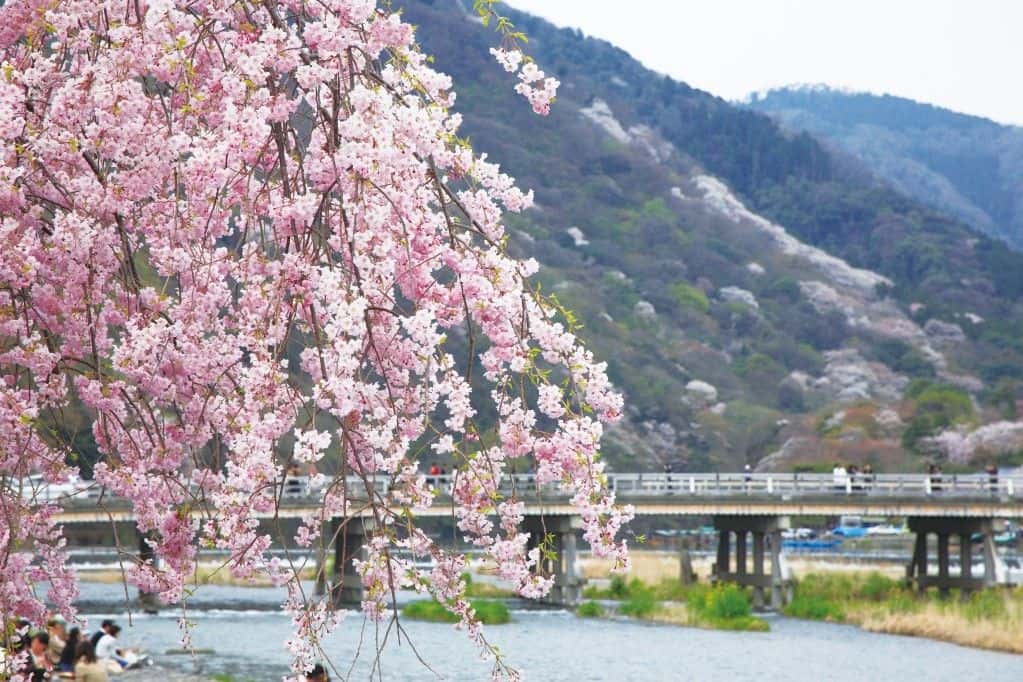 [Digital Ticket] Hankyu 1-Day Pass 2025 (Valid for 90 days)4