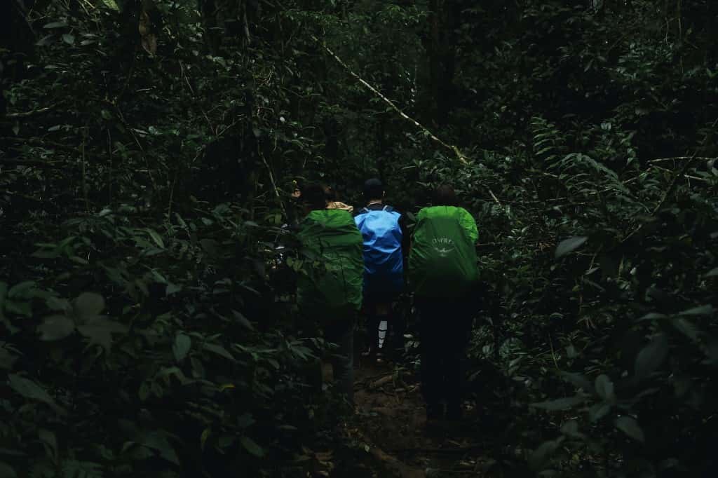 ทริปเดินป่า โบลาเวน (ลาวใต้) โหน Zipline ตาดฟาน- ตาดเสือ - ตาดขมึด 3 วัน 2 คืน3