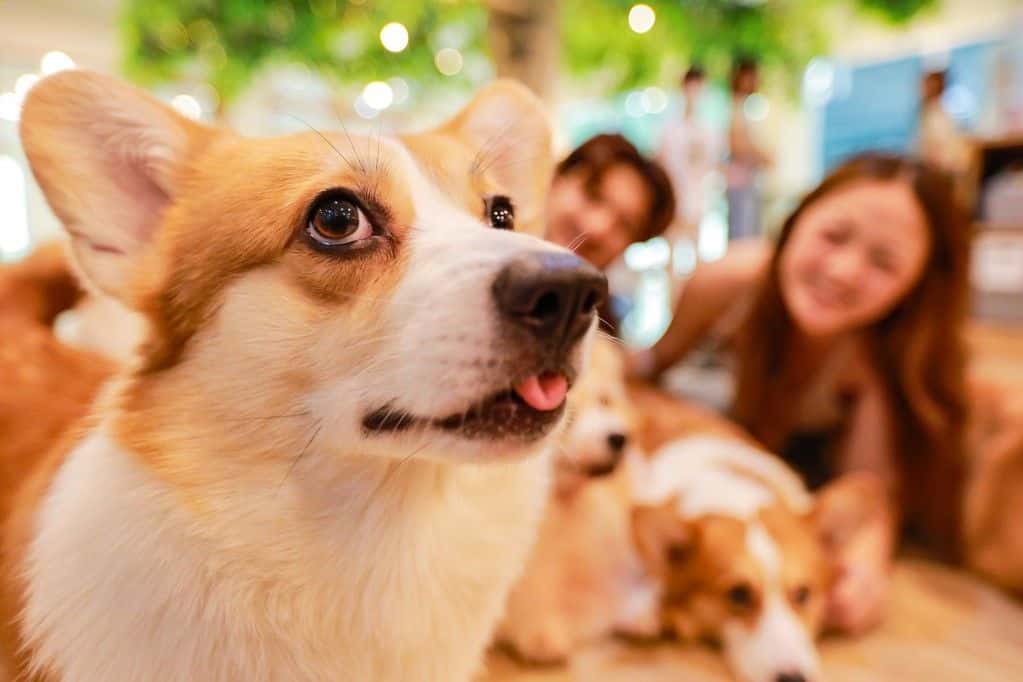 ทัวร์คาเฟ่1วัน 3 สไตล์ในกรุงเทพฯ (ทัวร์ส่วนตัวพร้อมบริการรับ-ส่ง) ทริปเที่ยว และเดย์ทริป3
