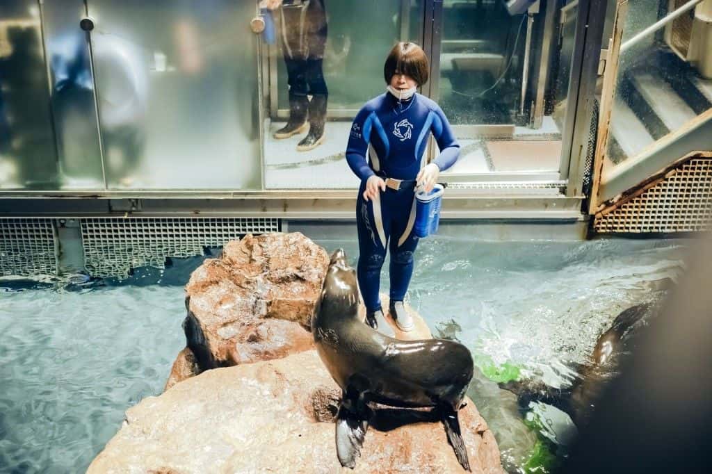 SKYTREE® Enjoy Pack Sumida Aquarium Plan2