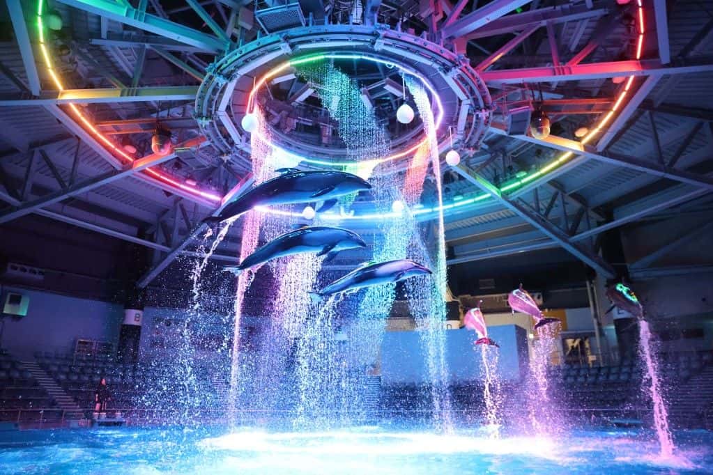 บัตรเข้าชม Maxell Aqua Park Shinagawa 20251