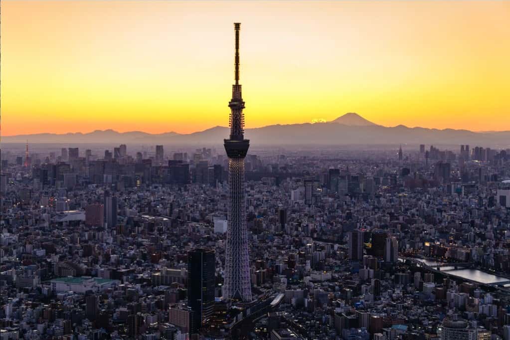 SKYTREE® ENJOY PACK SKY HOP BUS Plan4