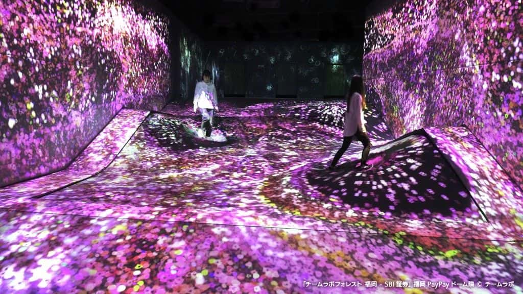 teamLab Forest Fukuoka Tickets3