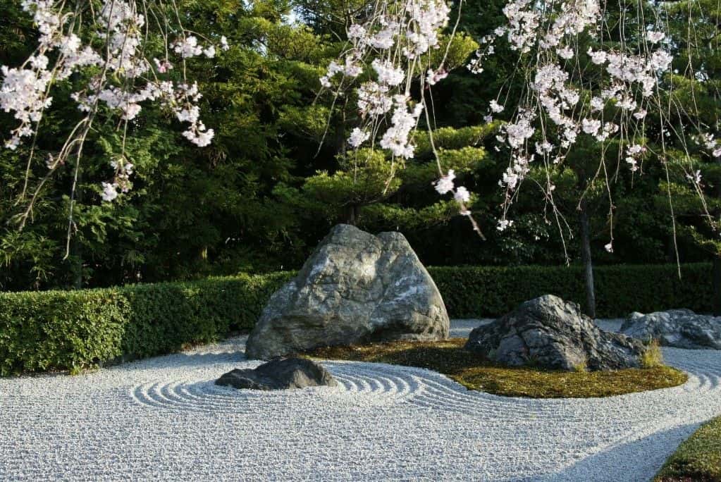 Kyoto Myoshinji Temple Tour to Taizo-in with Kyoto Cuisine Lunch at Hanagokoro Trips and Day Trips4
