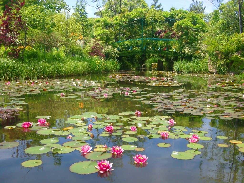 Garden Museum Hiei Admission Ticket2