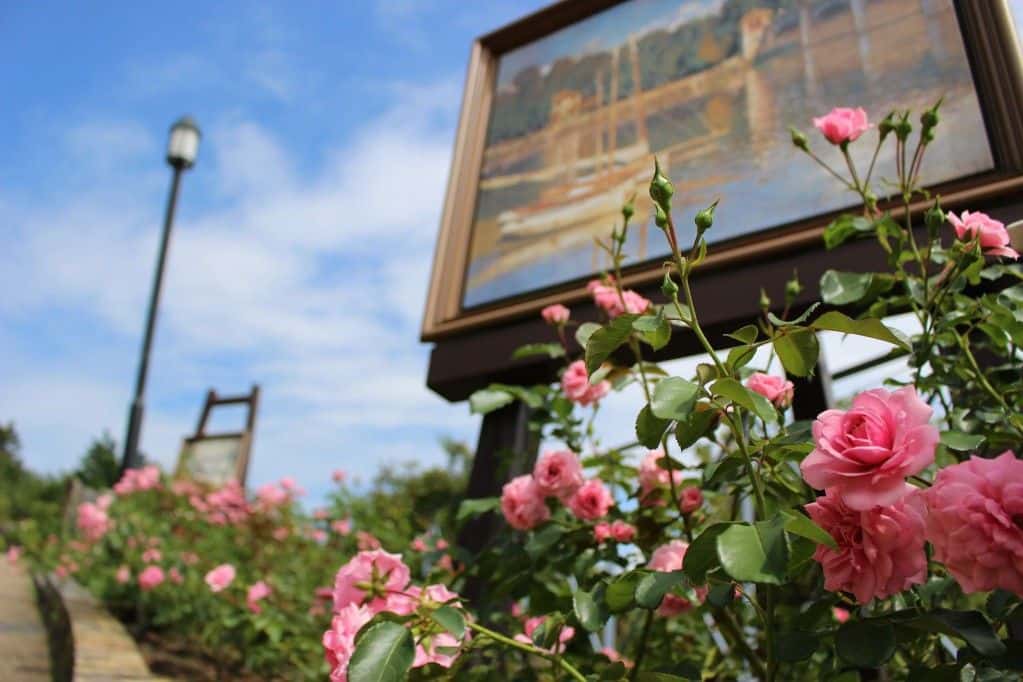 Garden Museum Hiei Admission Ticket3