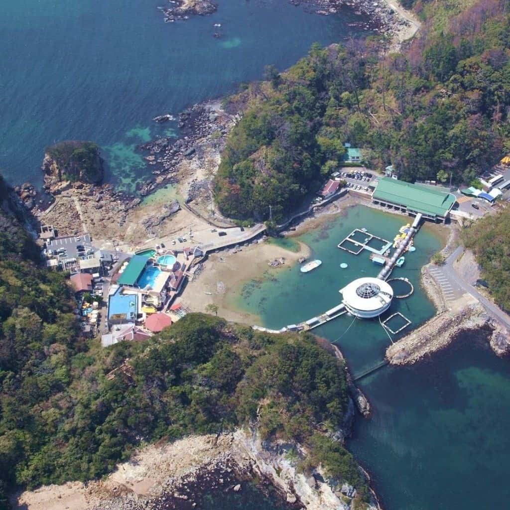Shimoda Underwater Aquarium E-Ticket (Valid for 90 days)1