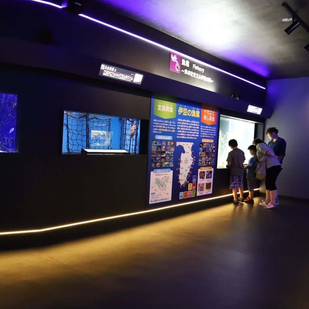 Shimoda Underwater Aquarium E-Ticket (Valid for 90 days)2