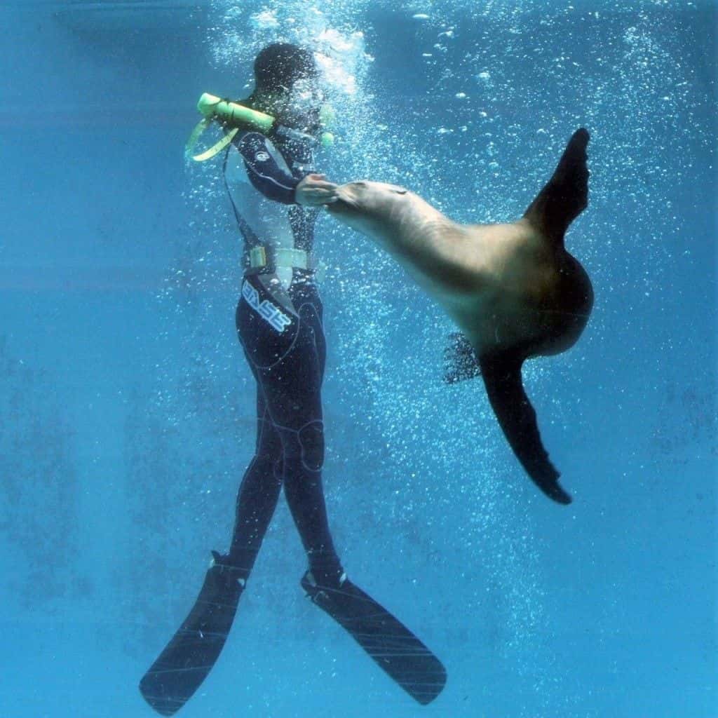 Shimoda Underwater Aquarium E-Ticket (Valid for 90 days)3