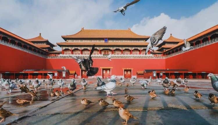 บัตรเข้าชมพระราชวังต้องห้าม (พิพิธภัณฑ์พระราชวังปักกิ่ง) The Forbidden City Ticket1