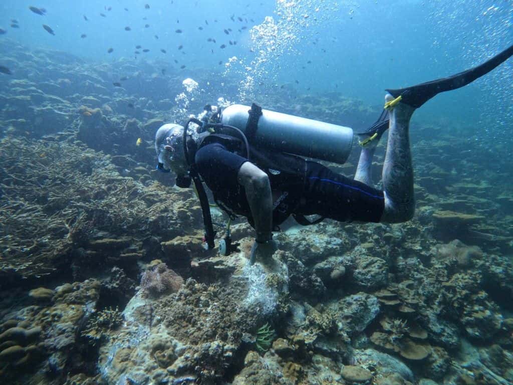 2 dive full day scuba diving trip in Koh Lipe Trips and Day Trips2