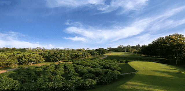 MAE JO GOLF CLUB3