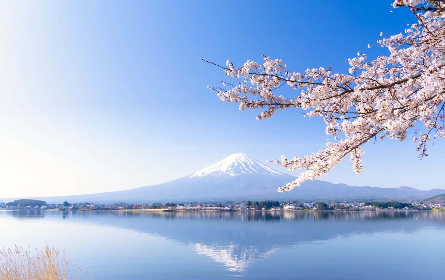 Vacay eSIM Best Japan4