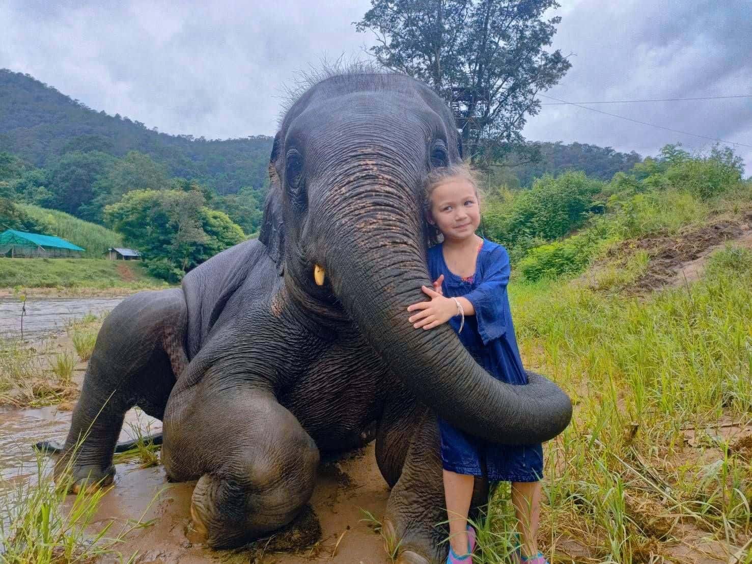 Elephant Care & Bonding Experience at Chokchai Elephant Camp4