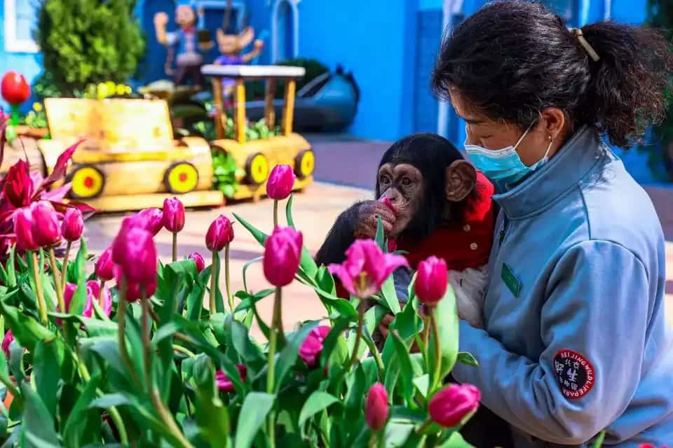 บัตรเข้าสวนสัตว์ Beijing Wildlife Park1