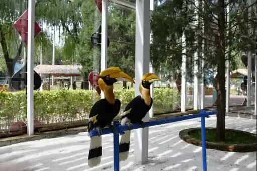 บัตรเข้าสวนสัตว์ Beijing Wildlife Park4