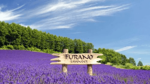 ทัวร์ทริปฮอกไกโด (1-Day Tour in Hokkaido) ทริปเที่ยว และเดย์ทริป2