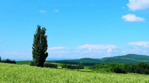 ทัวร์ทริปฮอกไกโด (1-Day Tour in Hokkaido) ทริปเที่ยว และเดย์ทริป3