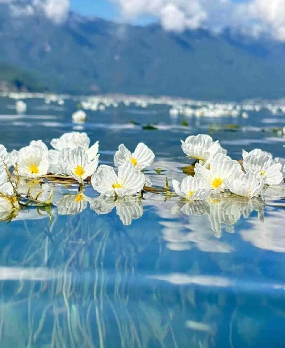 Lugu Lake and Mosuo Culture Day Trip (Departing from Lijiang) Trips and Day Trips1